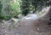 Swinging Bridge Nature Trail